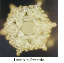 love and gratitude crystal