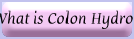 What is Colon Hydrotherapy